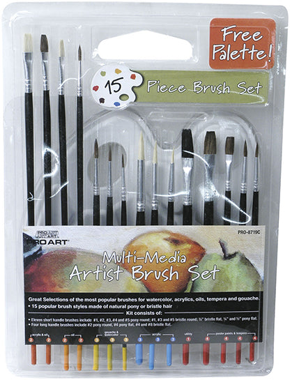 C2F, C2F PRO-8719C Set de pinceaux 15 pièces