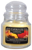 Chandelle lite, Candle Lite 3827099 3 Oz. Tropical Fruit Medley Jar Candle (Pack de 12)