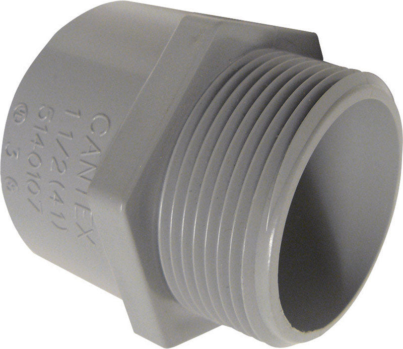 THOMAS & BETTS, Cantex 3/4 in. Dia. Adaptateur mâle en PVC (carton de 50)