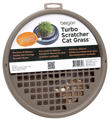 Bergan Llc, Friandise pour chat, Turbo Grass (paquet de 4)