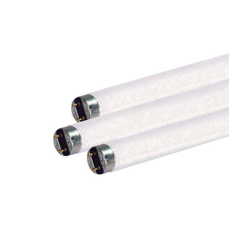 SATCO PRODUCTS INC, Satco 15 W T8 1 in. D X 17.78 in. L Ampoule fluorescente lumière du jour linéaire 6500 K (paquet de 24)