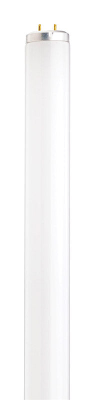 SATCO PRODUCTS INC, Satco 15 watts T12 1.5 in. Dia. x 17.78 in. L Ampoule fluorescente blanc froid linéaire 4100 K 1 pk (paquet de 30)