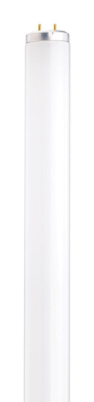 SATCO PRODUCTS INC, Satco 20 W T12 1.5 in. D X 23.78 in. L Ampoule fluorescente blanc froid linéaire 4100 K 1 pk (Pack de 30)